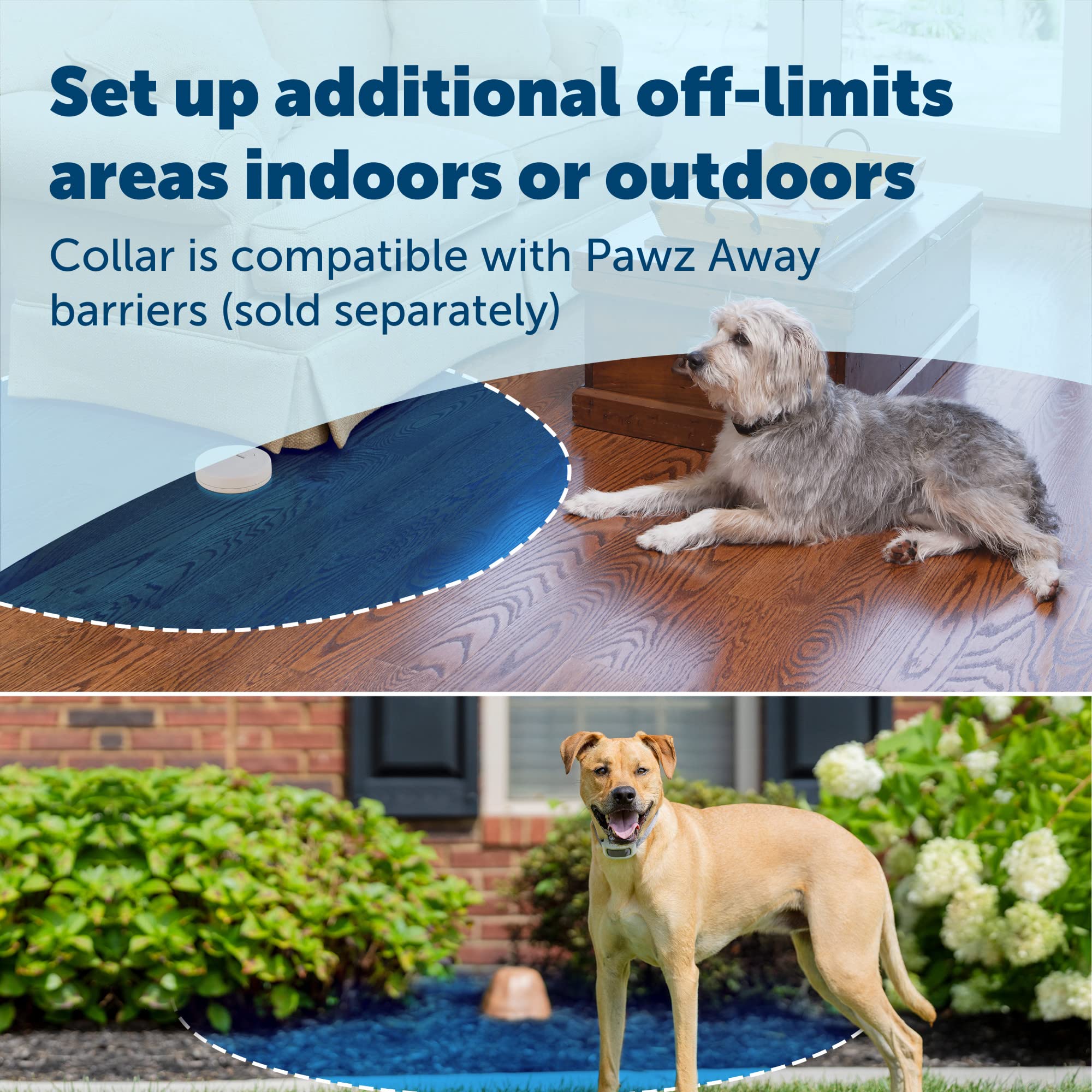 Petsafe Classic In-Ground Fence In Ground Cat Fence, Underground Dog Containment System Expandable Up To 5 Acres, Digital Lcd Sc